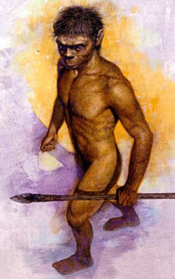      homo floresiensis,  ,    